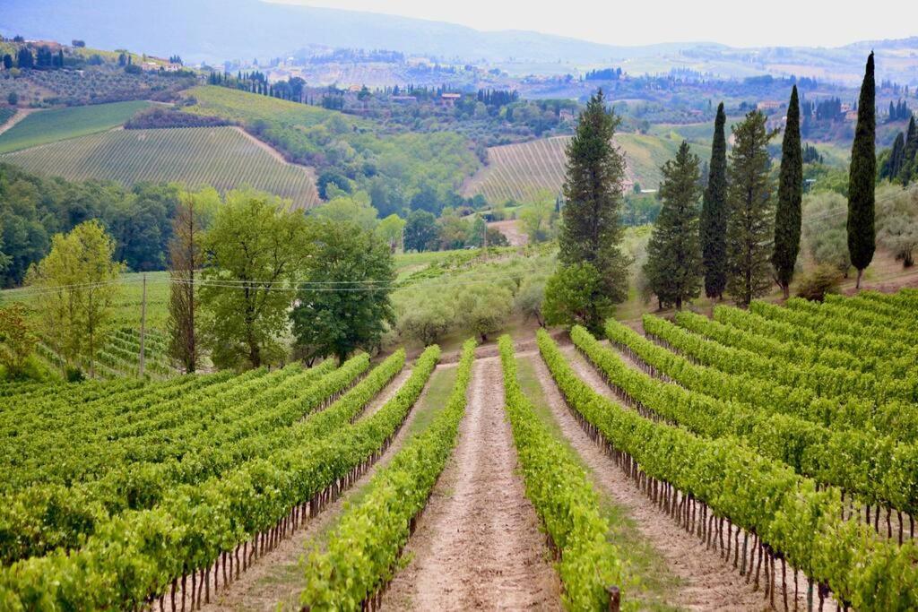 Lovely 2 Bedroom In San Gimignano Historic Center Buitenkant foto